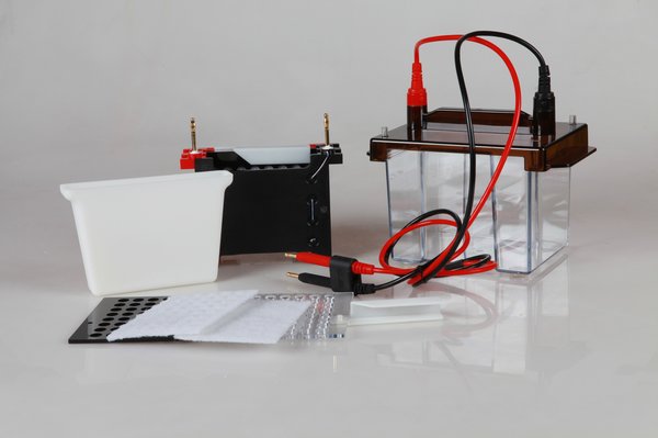 VE 186 转移电泳槽